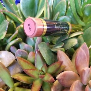 ❗1 DAY SALE❗LUV IT🔥LIPSENSE COLOR